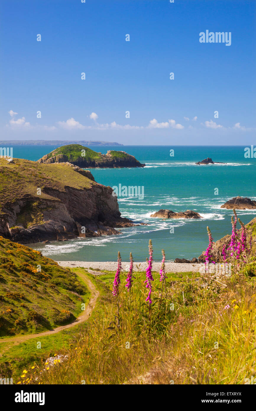 Solva bay hi-res stock photography and images - Alamy