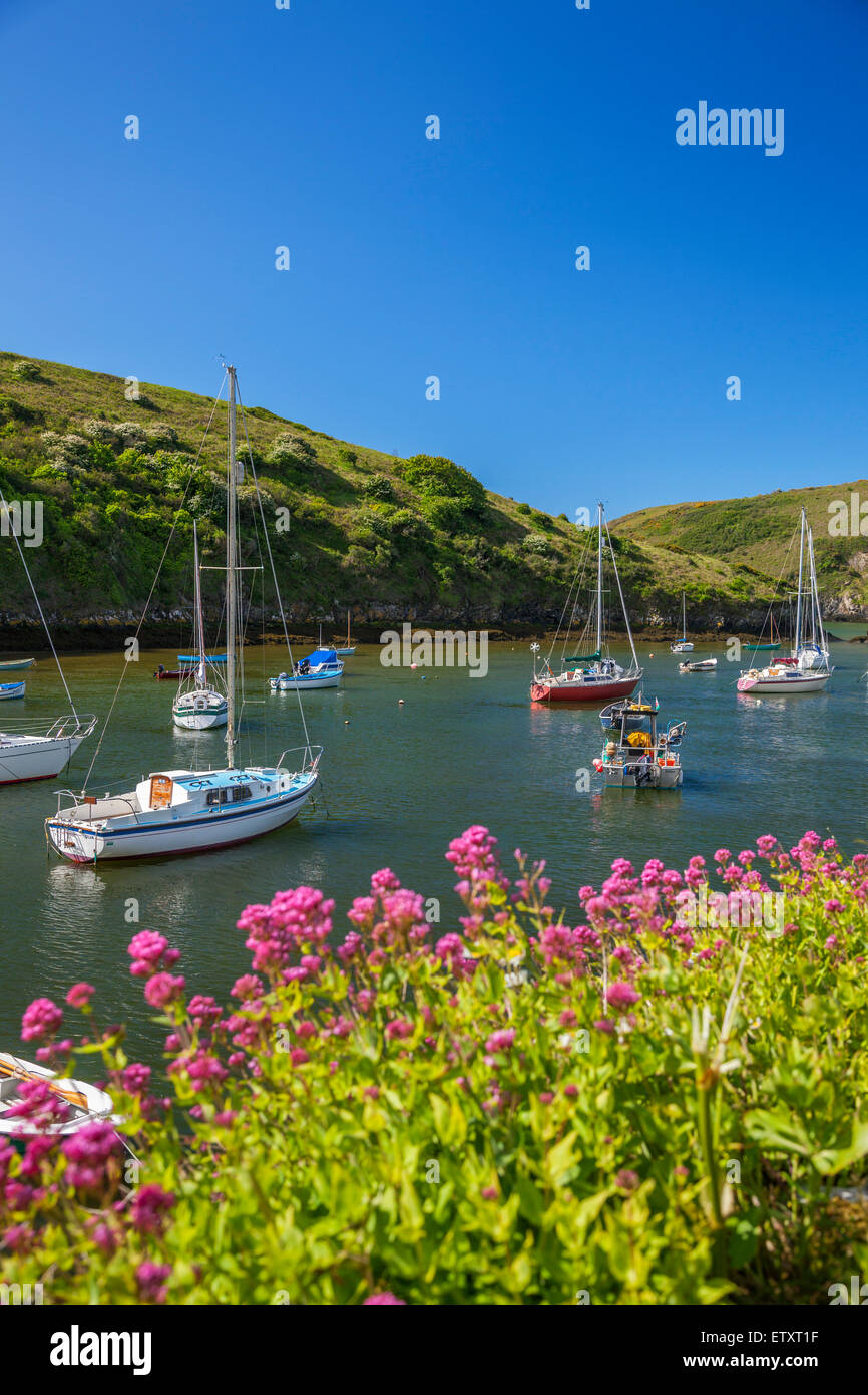 Solva wales hires stock photography and images Alamy