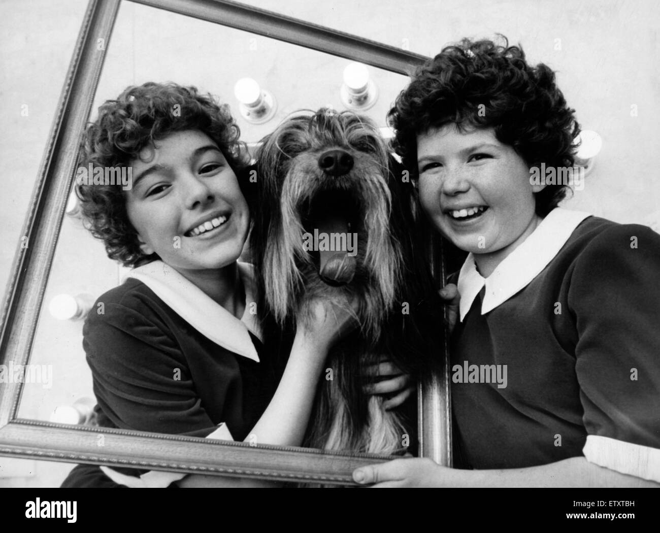 Annie, the musical amateur production by the Pantheon Club, begins a two week run at the Kings Theatre, Glasgow, Scotland, Caley, a two year old collie, pictured with both his co-stars, 13 year old Louis Duncan (left) and Jennifer Shaw aged 10. 5th March Stock Photo