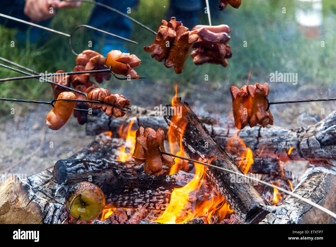 Sausage on stick over fire, bonfire party Stock Photo
