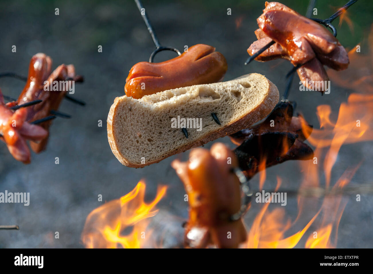 Sausage on stick over fire, bonfire party campfire bread Stock Photo