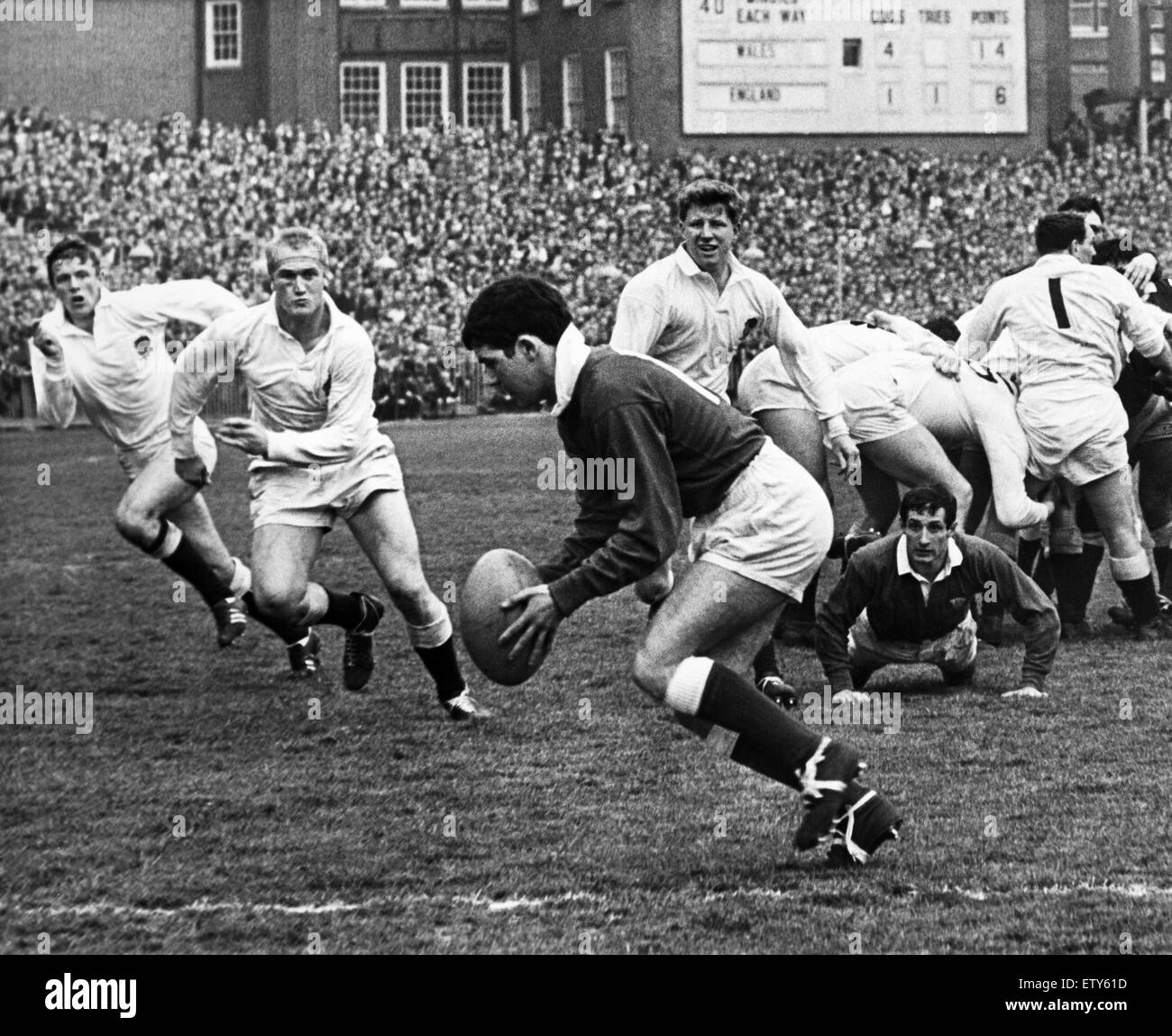 Wales outside half David Watkins clears the ball on the Welsh line during the match against England at the Arms Park, Cardiff. Wales won the game 34 -21. 15th April 1967. Stock Photo