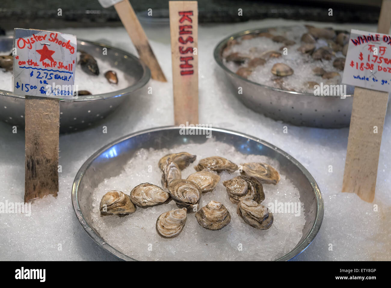 Fresh Whole Oysters Clams Mussels Shellfish in Shell on Ice for Sale in Fresh Seafood Market Stock Photo