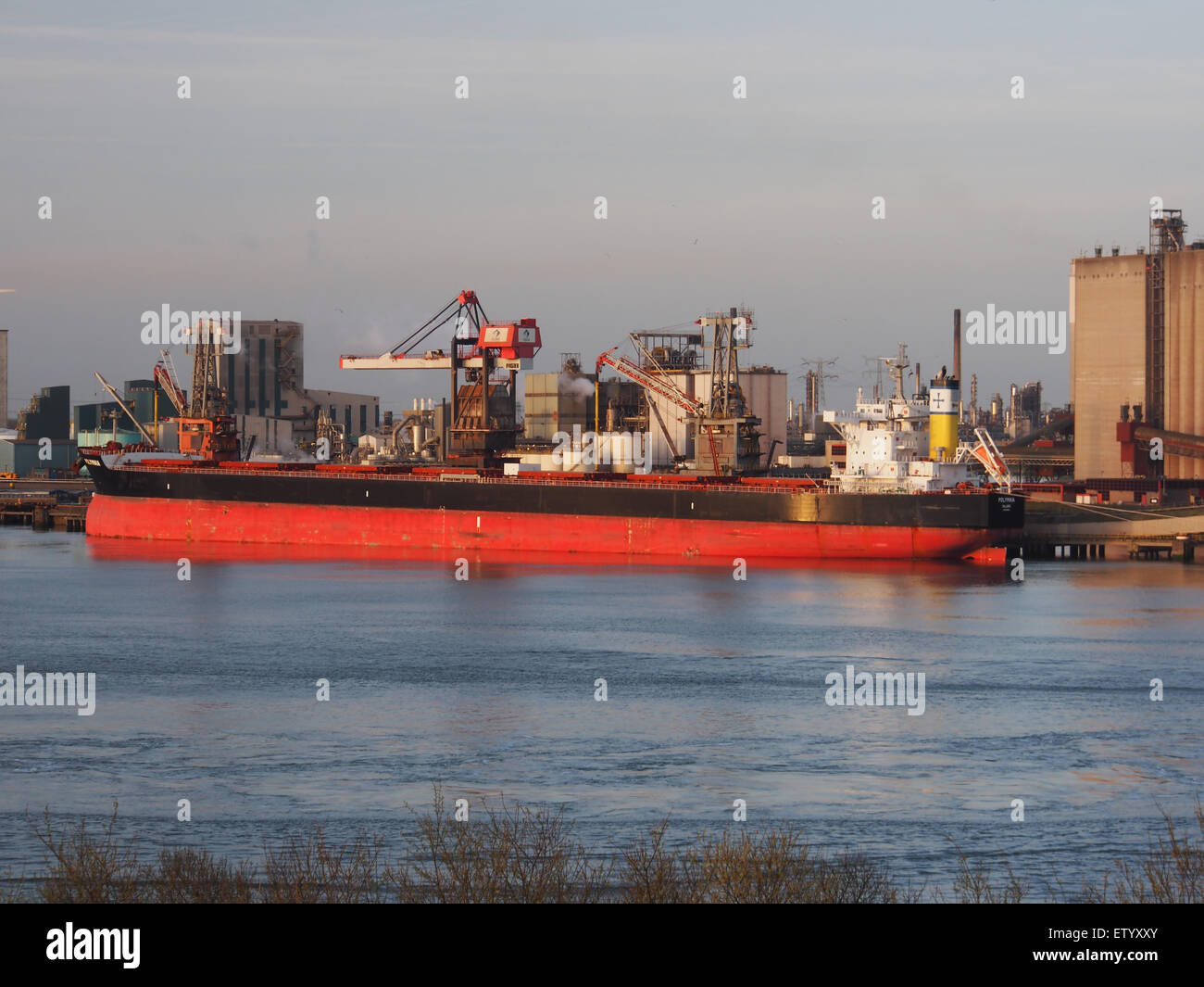 Polymnia - IMO 9598660, Beneluxhaven, Port of Rotterdam, pic1 Stock Photo