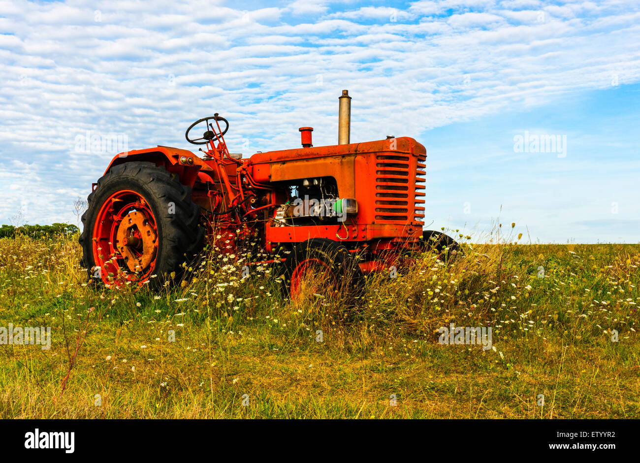 Red Tractor sitting amongst the wild flowers. Stock Photo