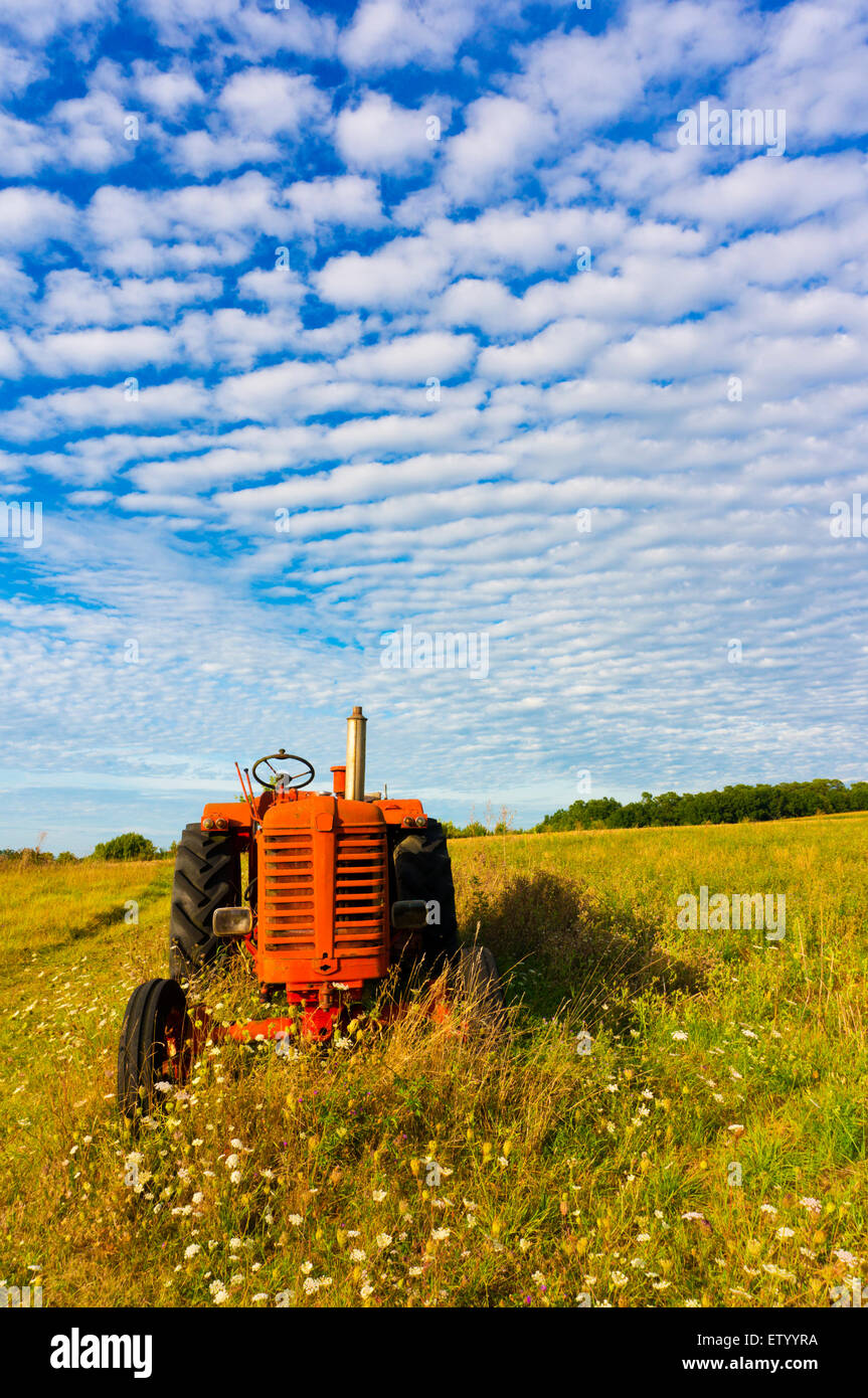 Little red tractor hires stock photography and images Alamy