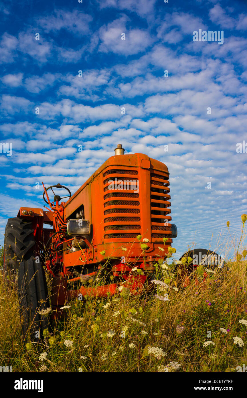 Old and small red tractor, abandoned in the edge of the field. It's