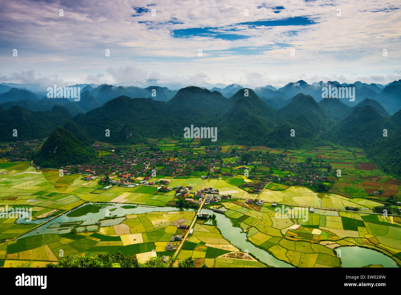 Colorful rice field in water season in Lang Son, Vietnam Stock Photo ...