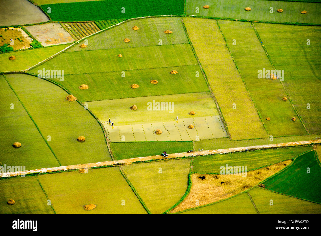Colorful rice field in water season in Lang Son, Vietnam Stock Photo ...