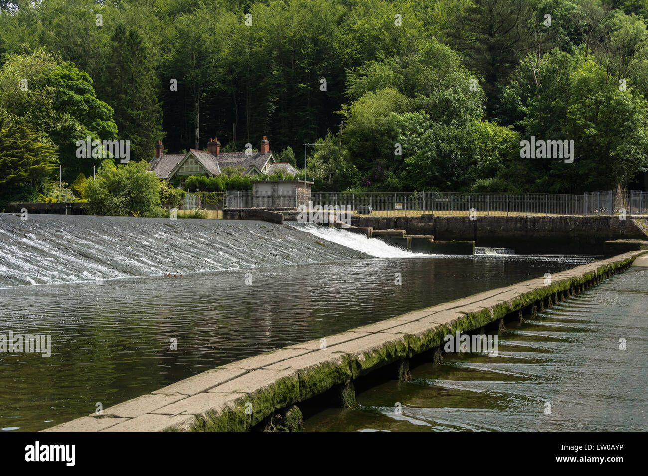 Lopwell dam across river tavy with house in background Stock Photo Alamy