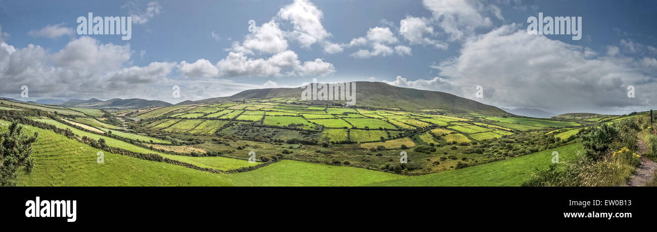 Green meadows near Dingle, Iveragh Peninsula, County Kerry, Ireland Stock Photo