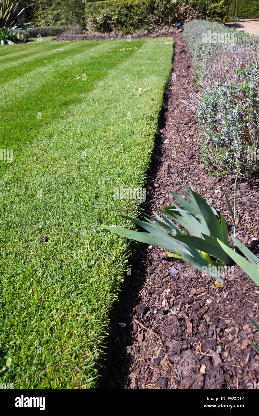 Garden border with mulch and lawn Stock Photo Alamy