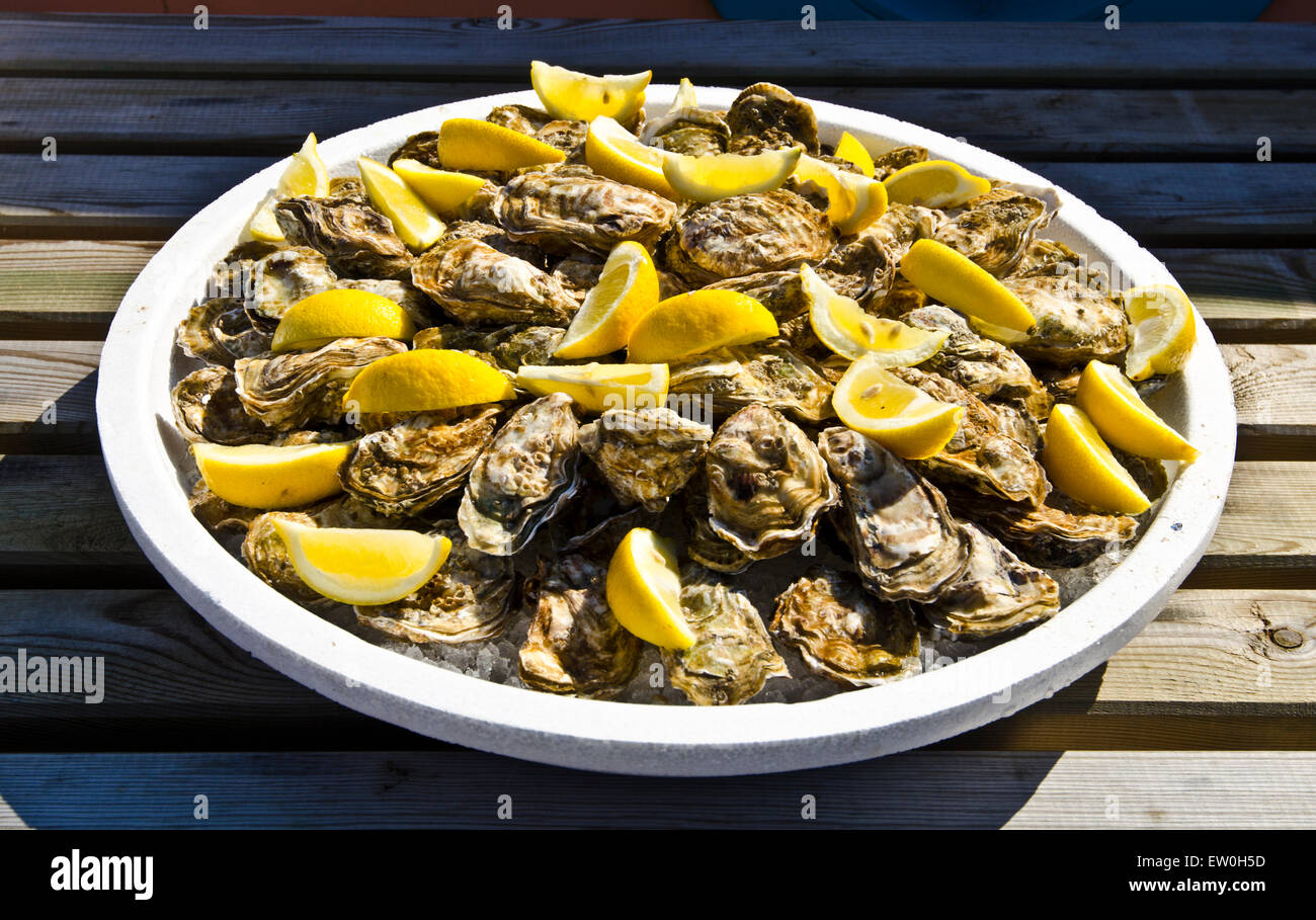 French oysters hires stock photography and images Alamy