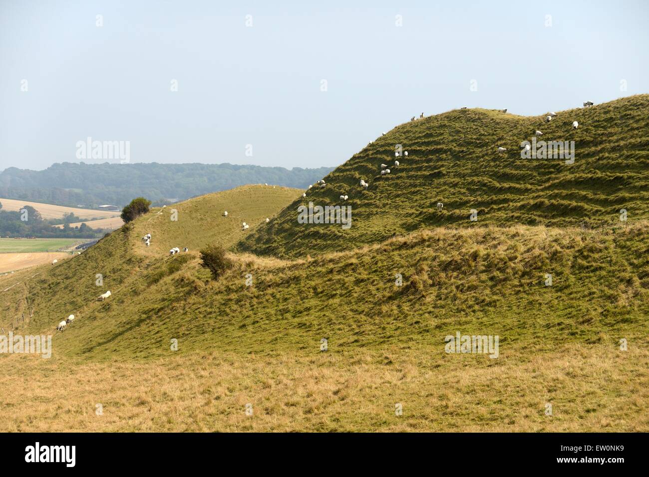 Maiden Castle Iron Age hill fort, Dorset. Massive ramparts and ditches of the earthwork defences of the north western quarter Stock Photo