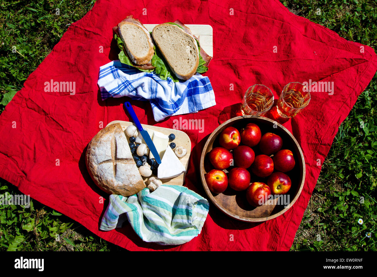 Picnic in the nature in a sunny day Stock Photo