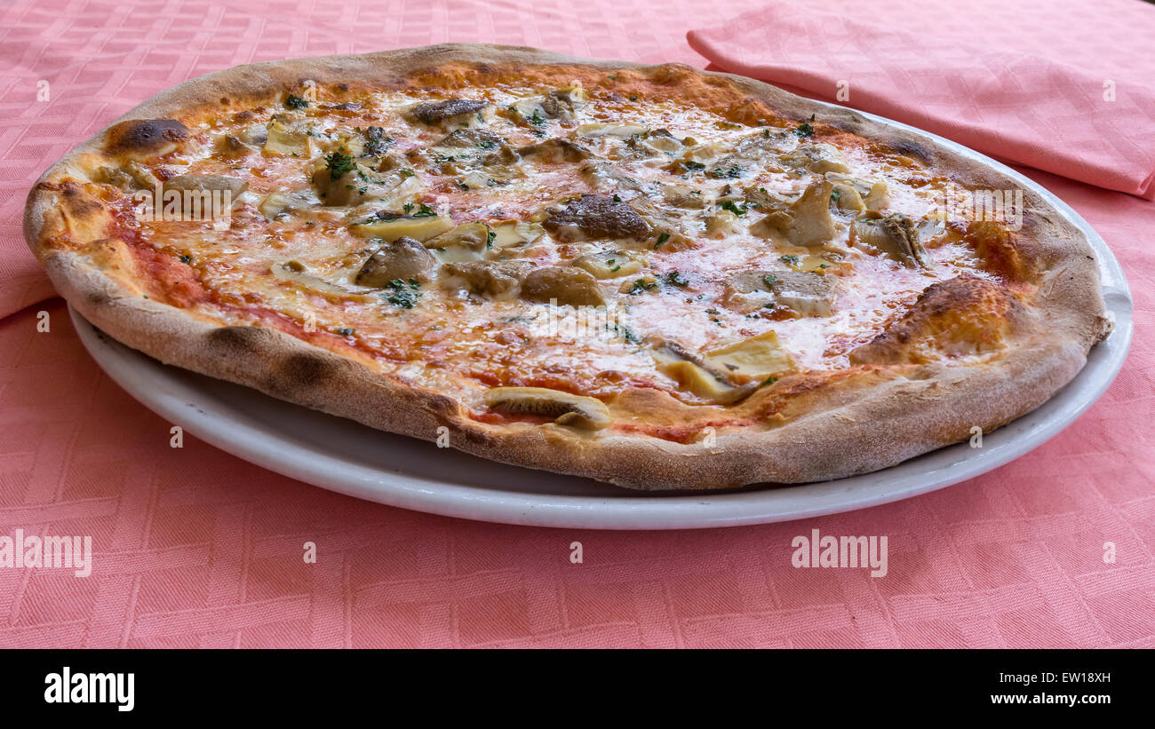 In the picture typical Italian pizza  with tomato,mozzarella,cheese and mushrooms. Stock Photo