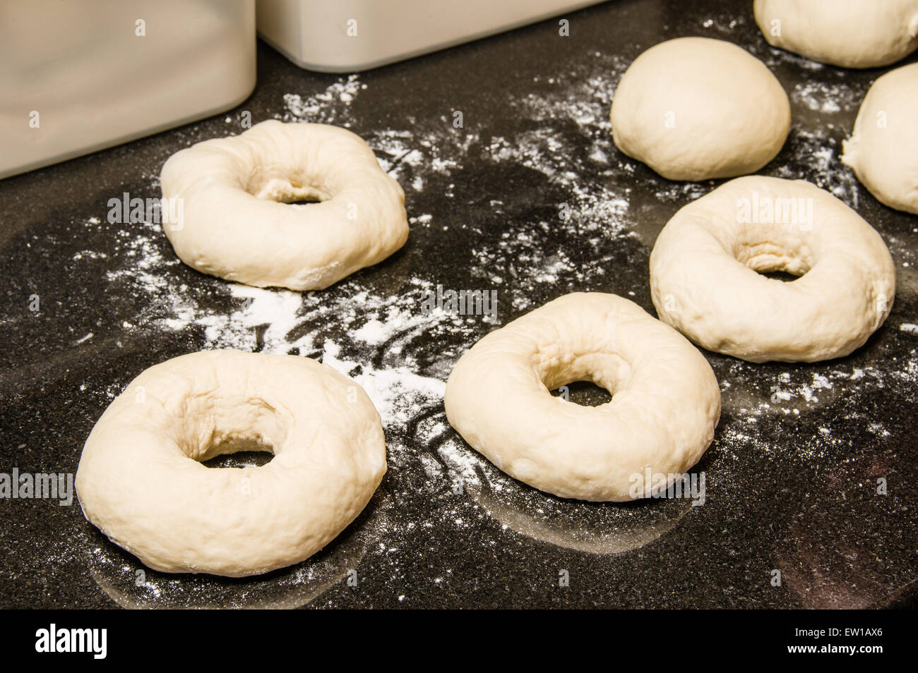 Bagels formed risen and ready to bake Stock Photo