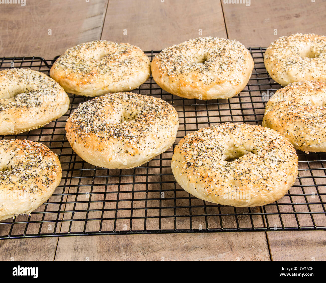 Bagels just baked and placed on cooling rack Stock Photo