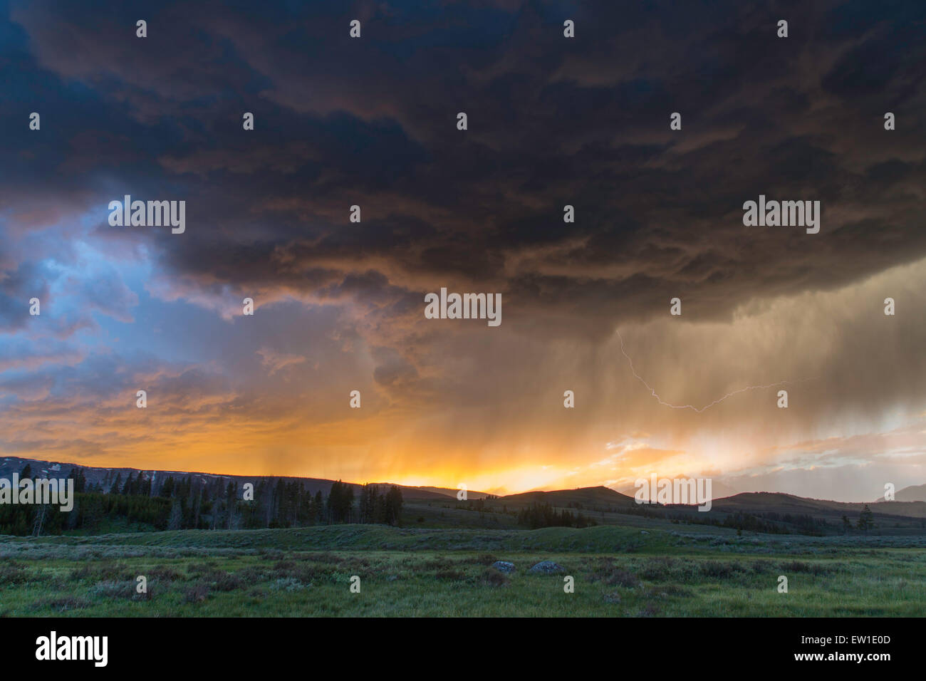 Thunderstorm at sunset on Swan Lake Flat in Yellowstone National Park June 12, 2015 in Yellowstone, Wyoming. Stock Photo