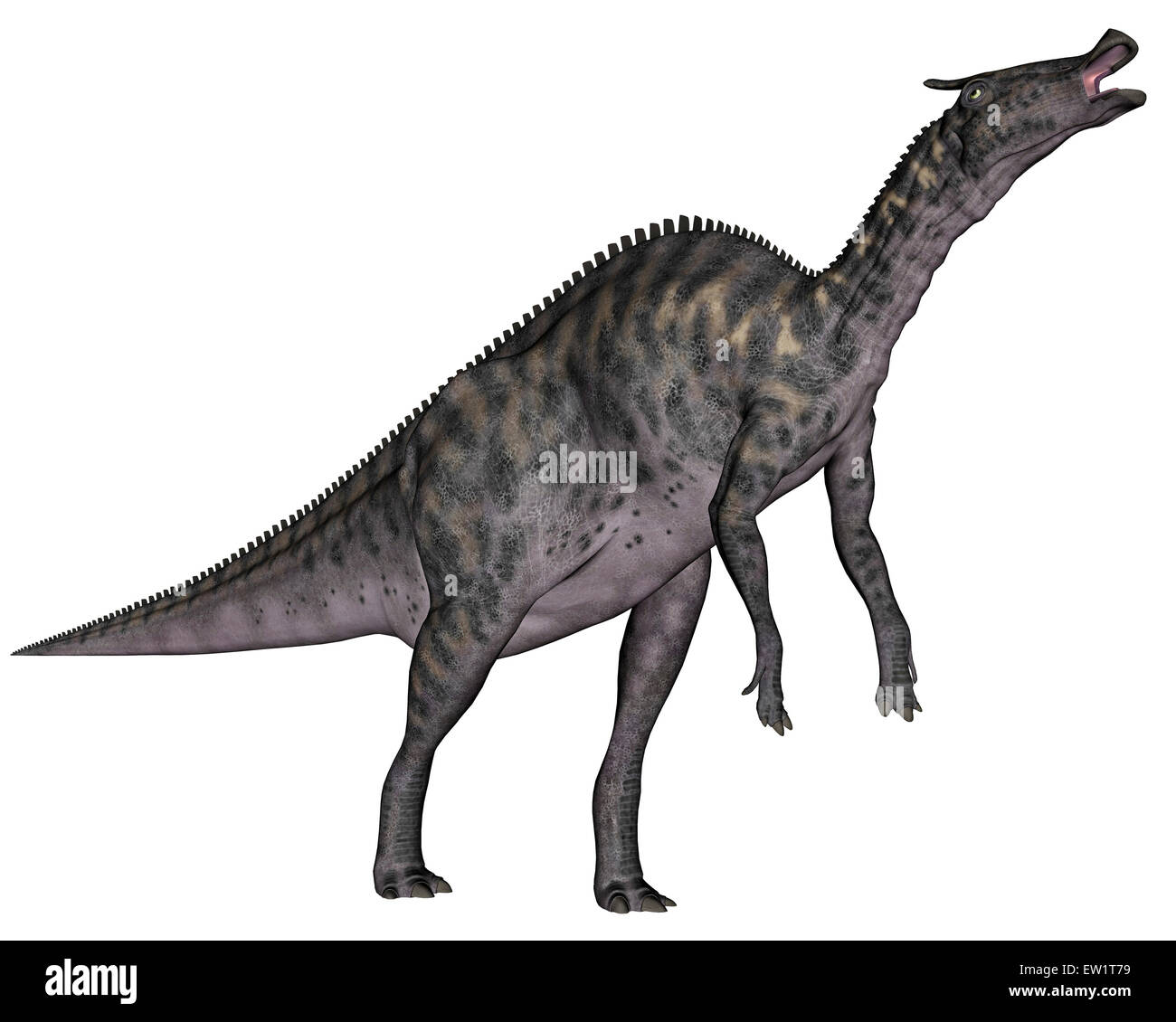 Saurolophus dinosaur, white background. Stock Photo