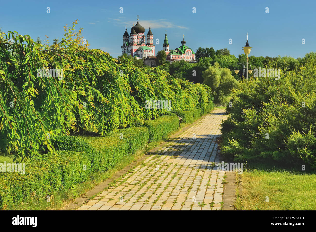 The avenue of cherry trees in park Stock Photo Alamy