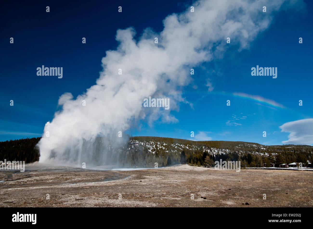 Old Faithful Erupting Yellowstone National Park High Resolution Stock ...