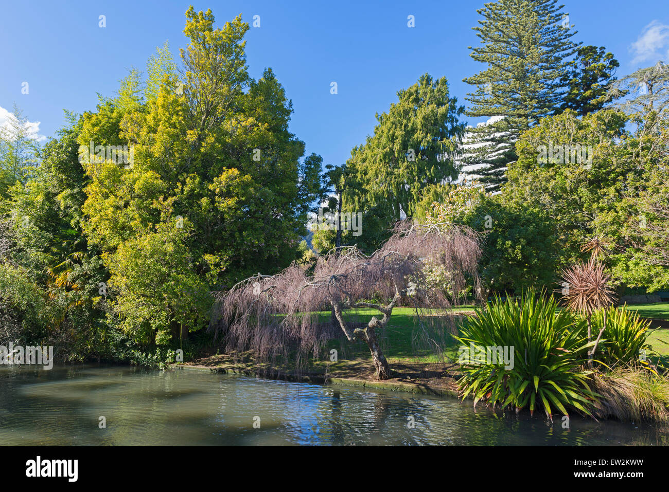 Miyazu Japanese Garden, Nelson, South Island, New Zealand Stock Photo