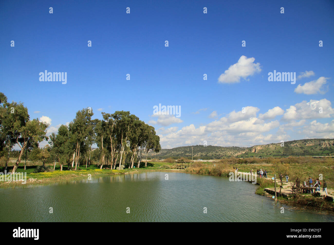 Taninim stream nature reserve hi res stock photography and images Alamy