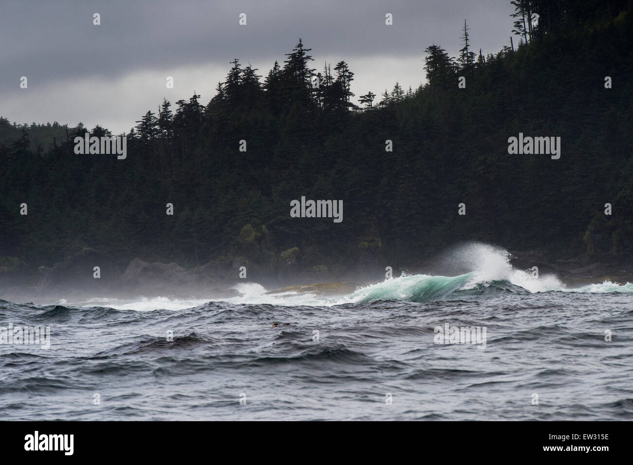Skeena-Queen Charlotte Regional District, Haida Gwaii, Graham Island ...