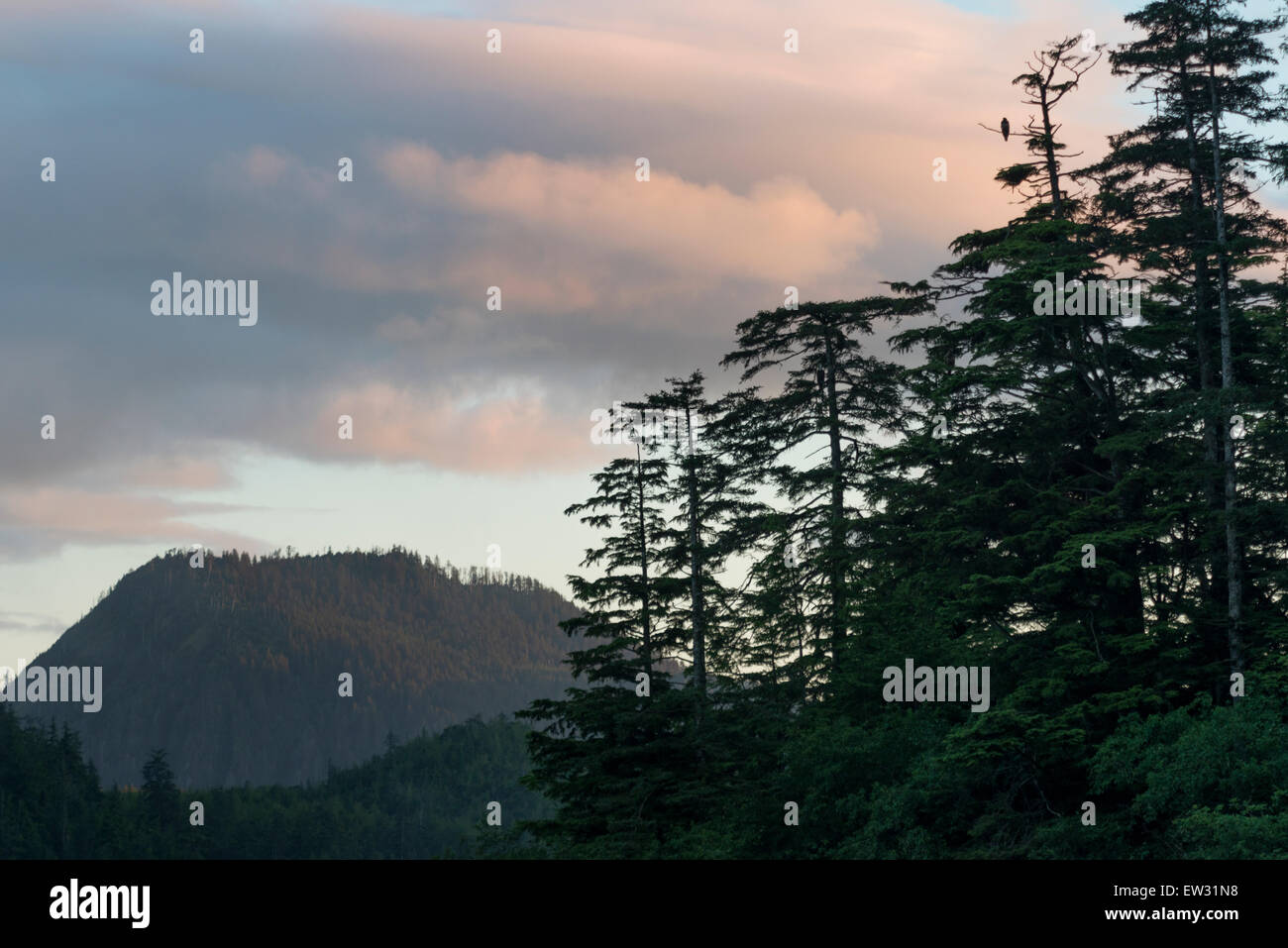 Skeena-Queen Charlotte Regional District, Haida Gwaii, Graham Island ...