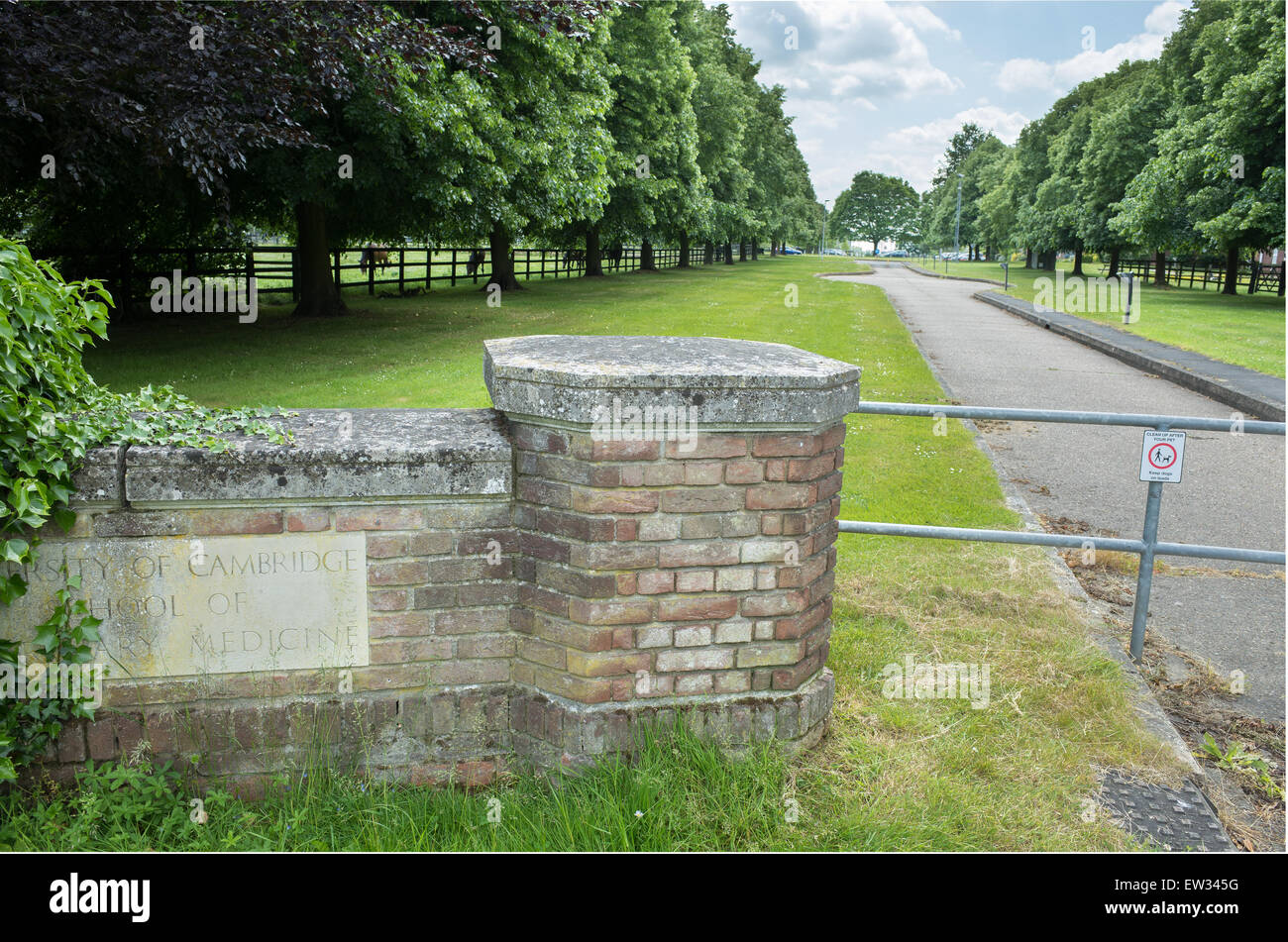 School of veterinary medicine, university of Cambridge, England Stock
