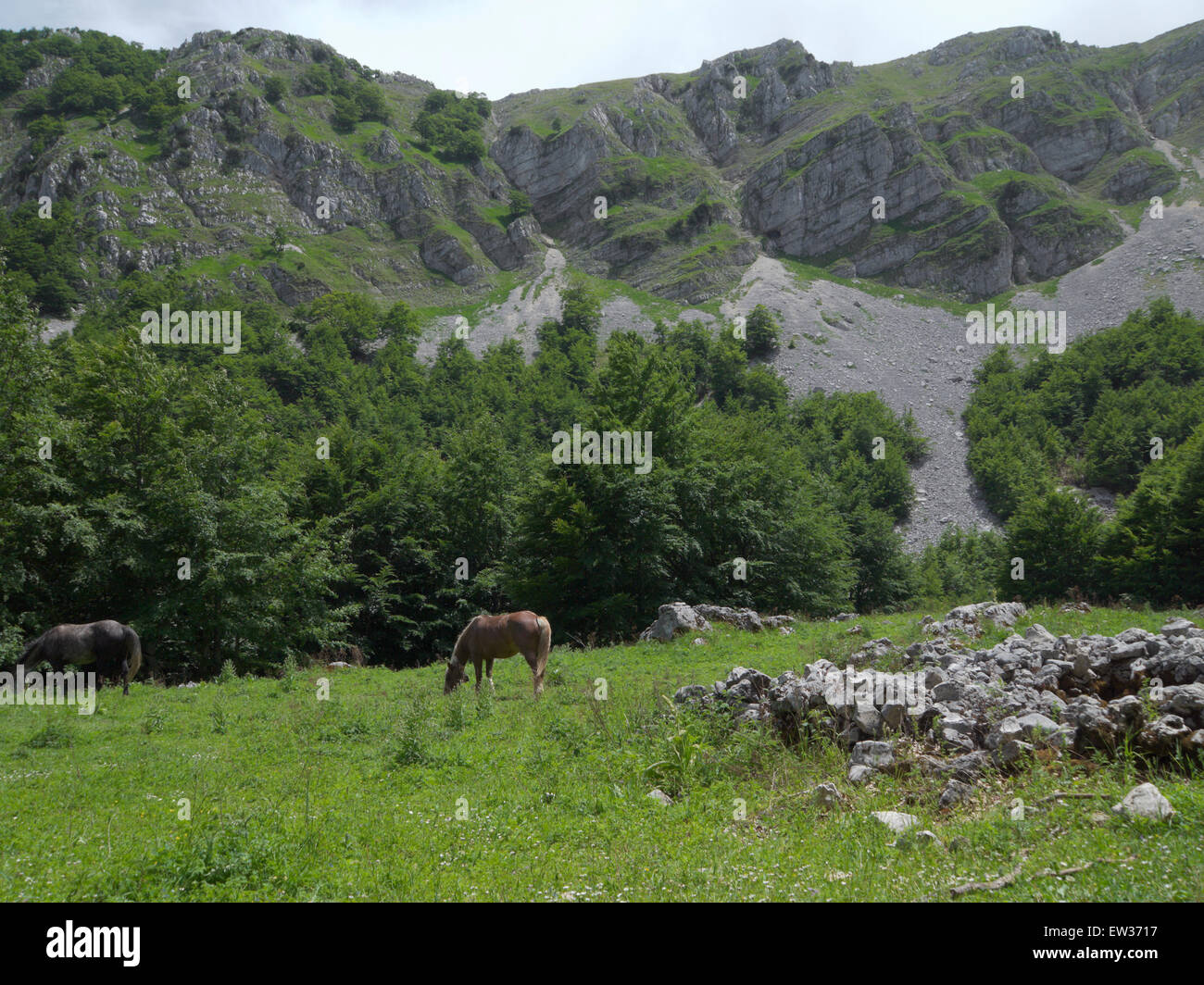 Path I1, Val Di Rose, two horses with monte Boccanera in the background Stock Photo