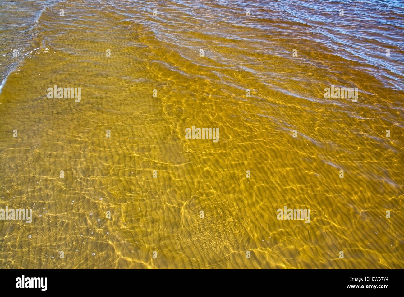 Yellow ocean water discolored by clean sediments from the 