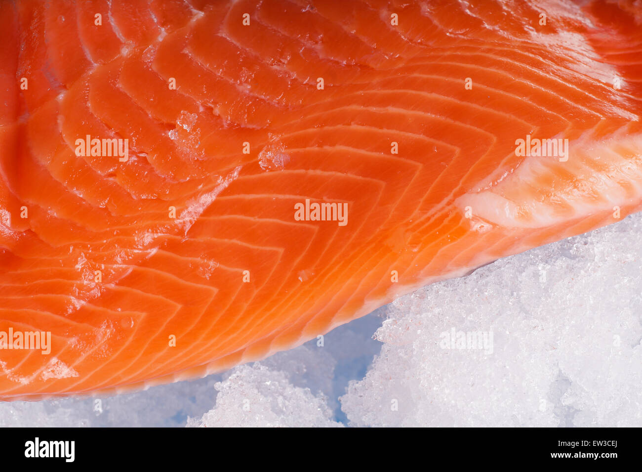 Raw wildcatched Salmon Fillet lying on ice Stock Photo - Alamy