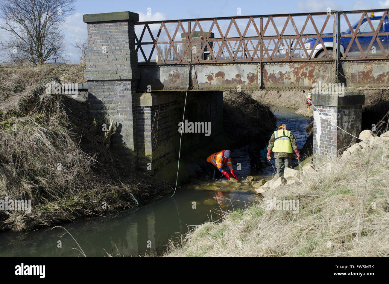 Men building fish pass underneath bridge on river, Fairham Brook, Nottingham, Nottinghamshire, England, March Stock Photo