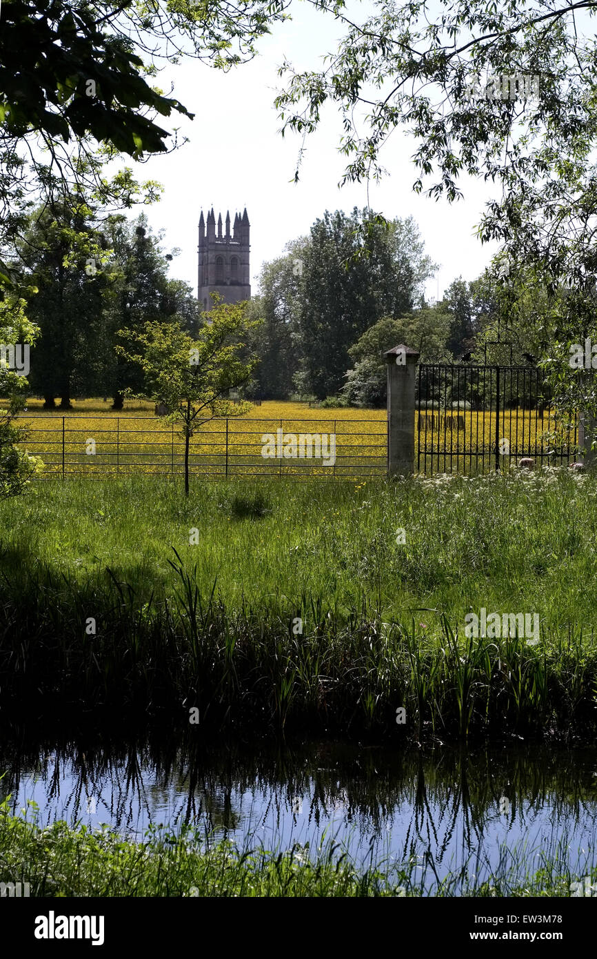 A view of Magdalen College Oxford bell tower and meadow with stream in foreground Stock Photo