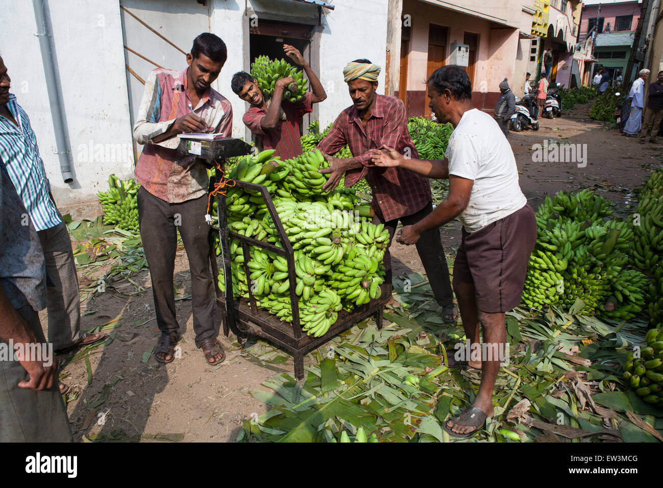 Men weighing bananas at a wholesalers at Devaraja Market in Mysore, India Stock Photo