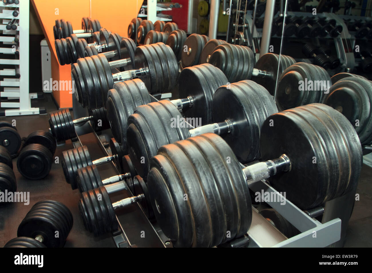 Dumb bells lined up in a fitness studio. Shot focus Stock Photo