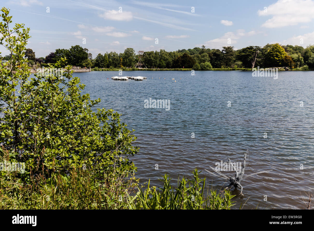 Dip - one of the Trentham Faries. Created by Robin Wight. Stock Photo