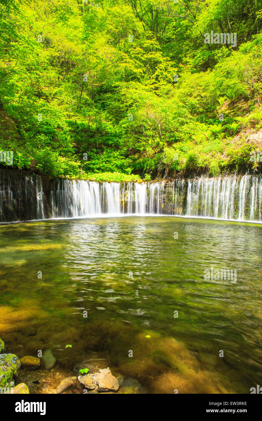 Karuizawa Shiraito Waterfall Nagano Japan Stock Photo Alamy