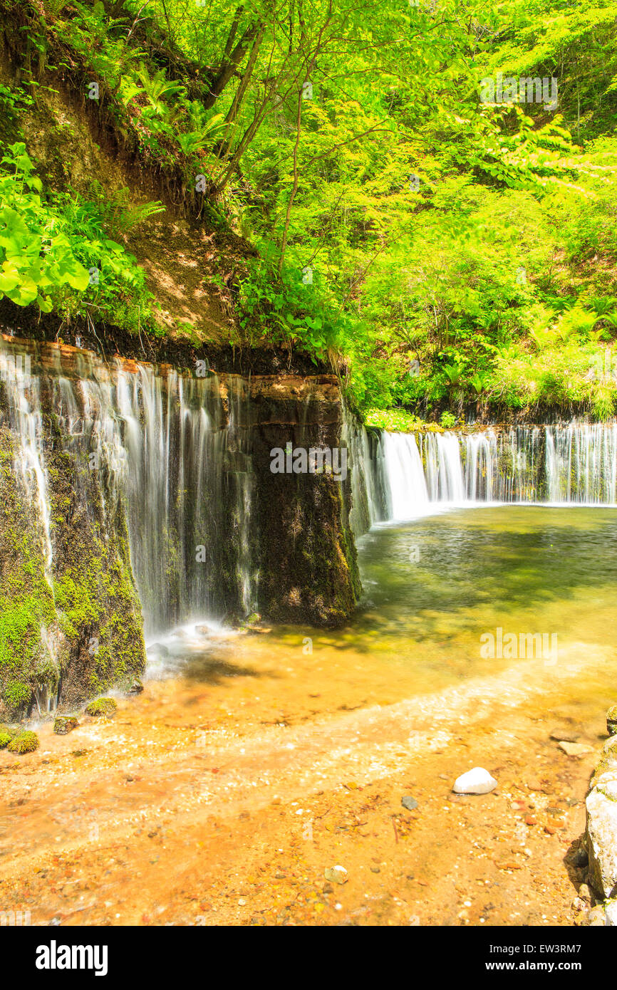 Karuizawa Shiraito Waterfall Nagano Japan Stock Photo Alamy Karuizawa Shiraito Waterfall Nagano Japan Stock Photo Alamy