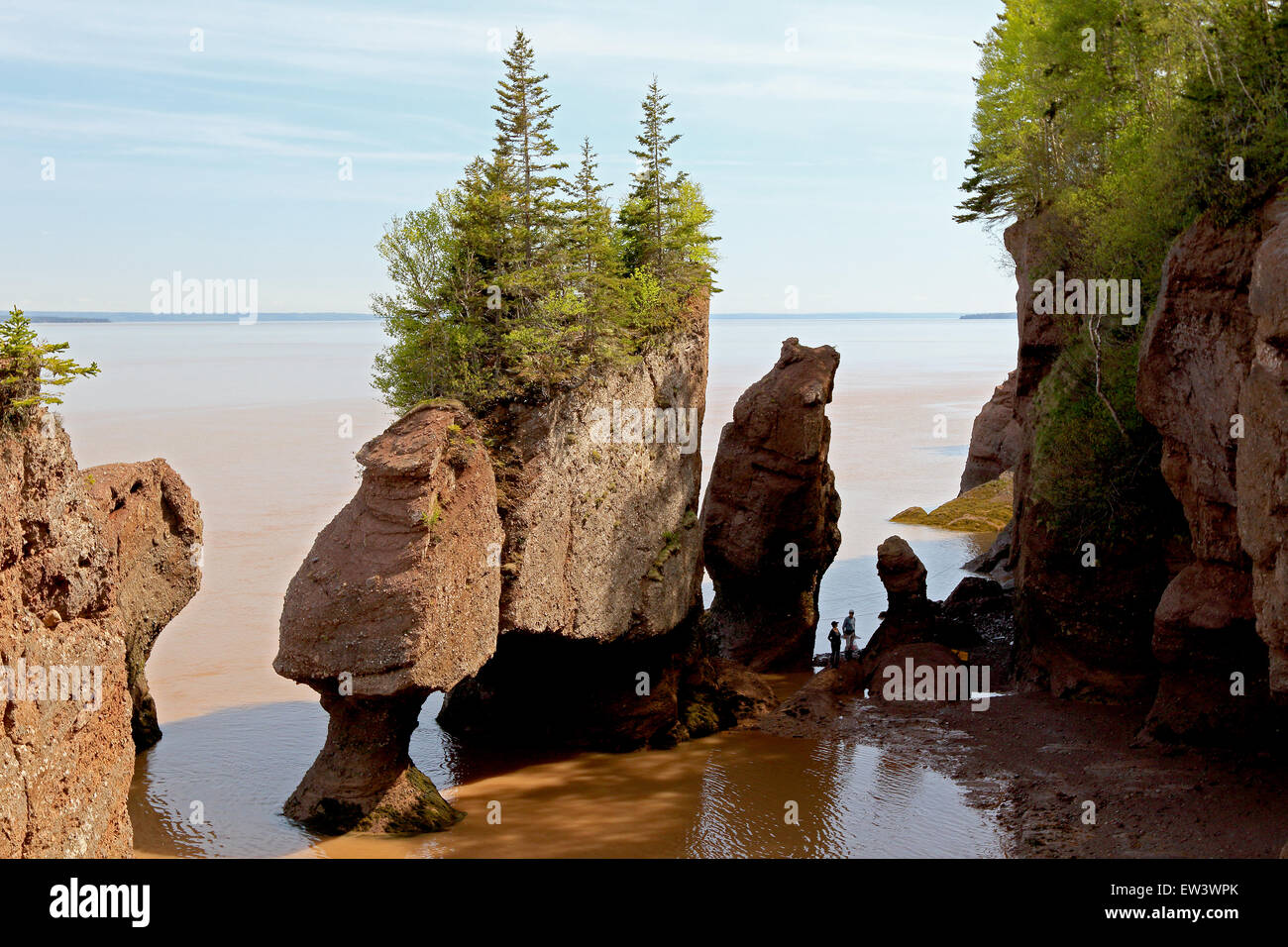 Bay of Fundy, New Brunswick, Canada Hopewell Rocks beach at low tide with tourists walking beach. Stock Photo