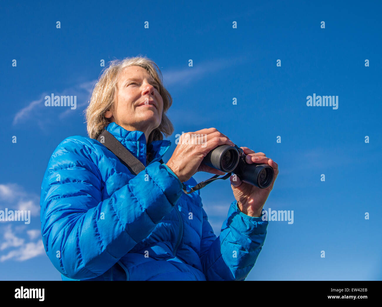 Wildlife, Woman Birder viewing Snow Geese, Ft. Boise Wildlife Mangement Area, Parma, Idaho Stock Photo
