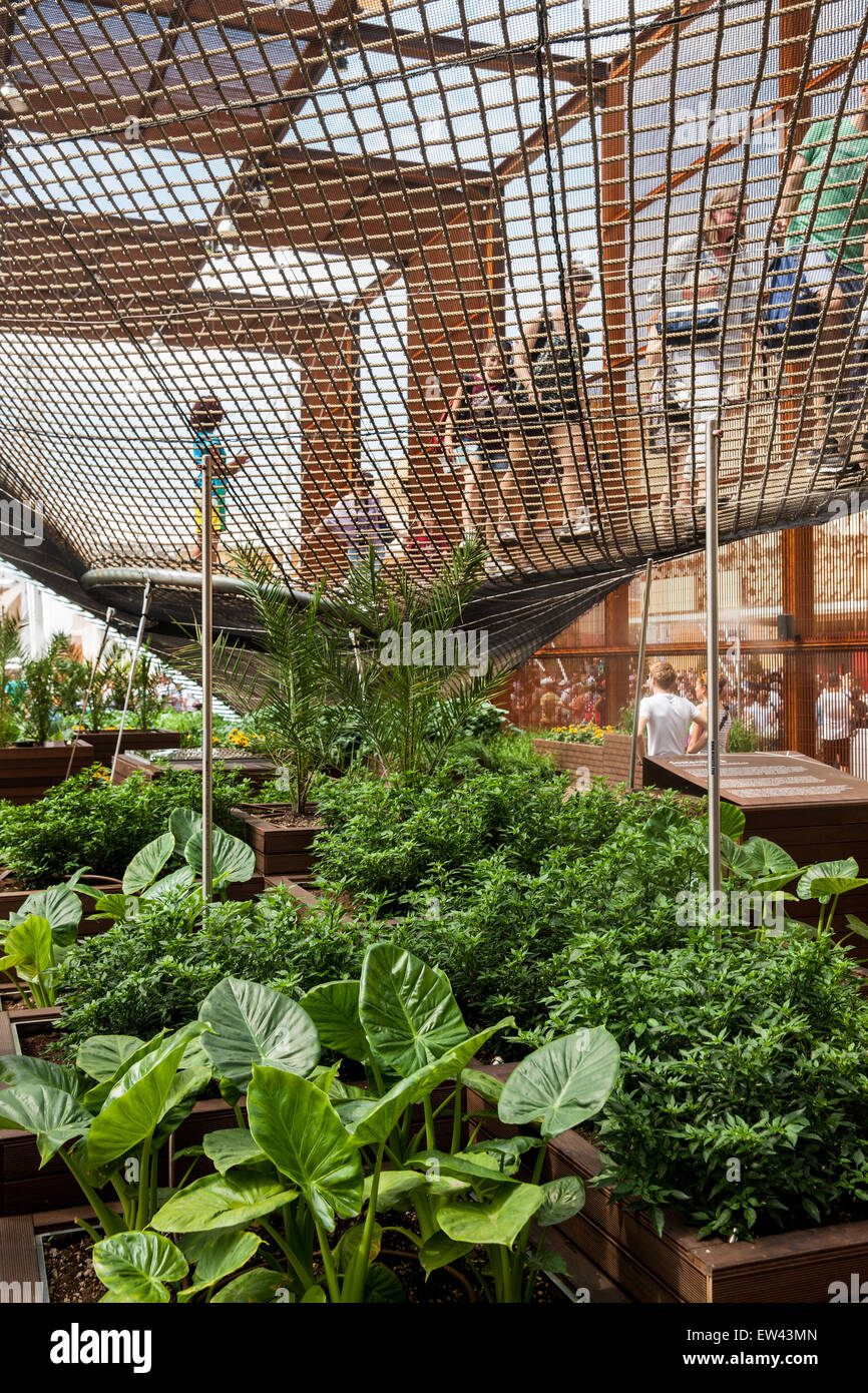 Milan, Expo 2015, Brazil pavilion, food, architecture, structure, Stock Photo