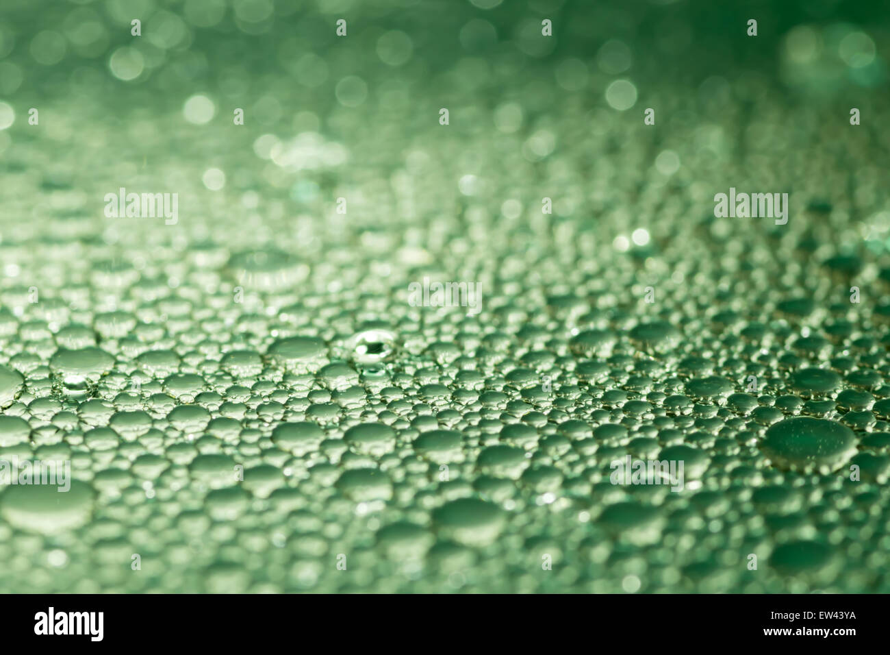 Low depth of field rain droplets Stock Photo