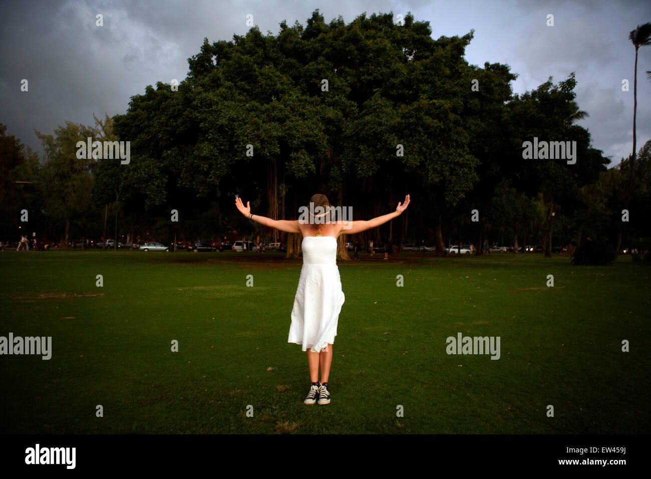 A woman dressed in a white dress stands in front of a Banyan Tree in Honolulu Hawaii. Stock Photo