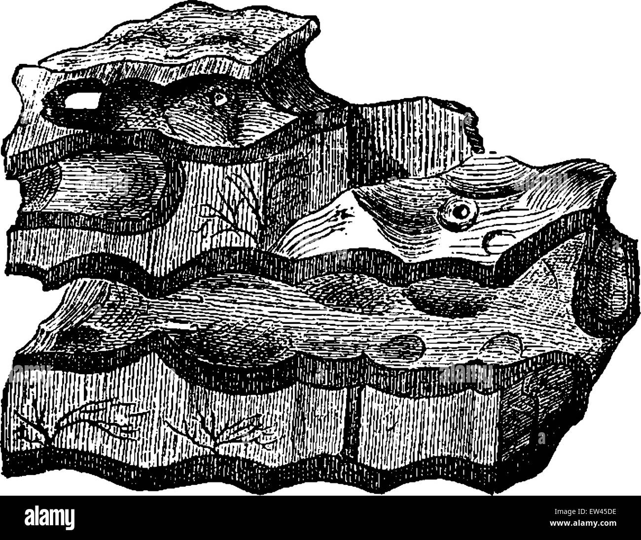 The oldest sedimentary deposits, Laurentian shale, Eozoon canadense, vintage engraved illustration. Earth before man – 1886. Stock Vector