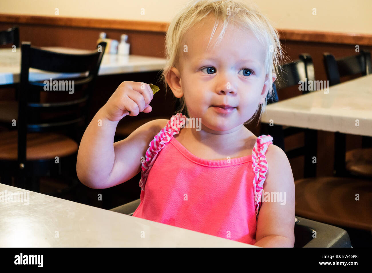 An 18 month old blonde Caucasian baby girl enjoys a sour pickle at a