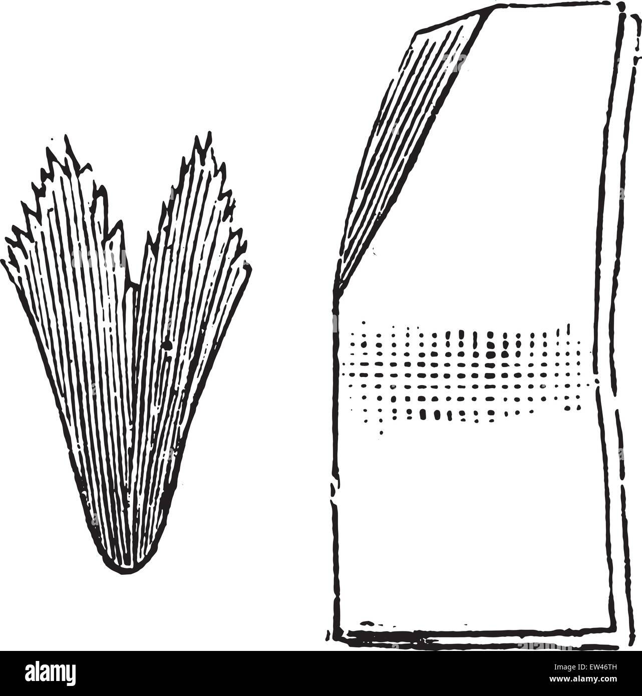 secondary way to fold the filter paper vintage engraved stock