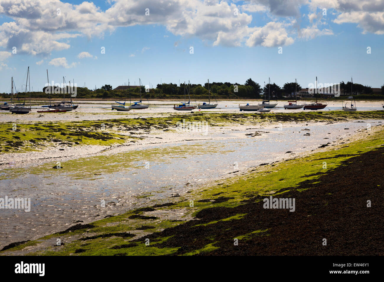 Low tide mud flats with yachts Stock Photo